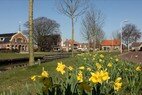 Balk luts voorjaar 